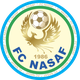 纳萨夫logo
